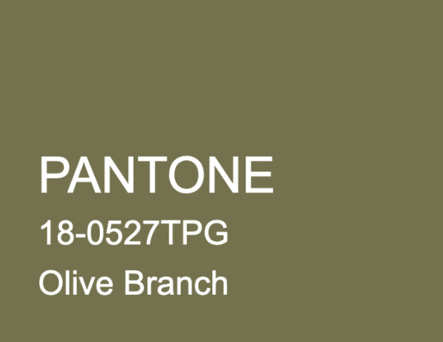 100% cashmere 土棕綠毛衣