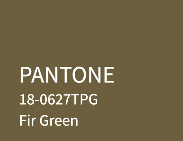 100％Cashmere Clouded Olives 霧橄欖綠毛衣