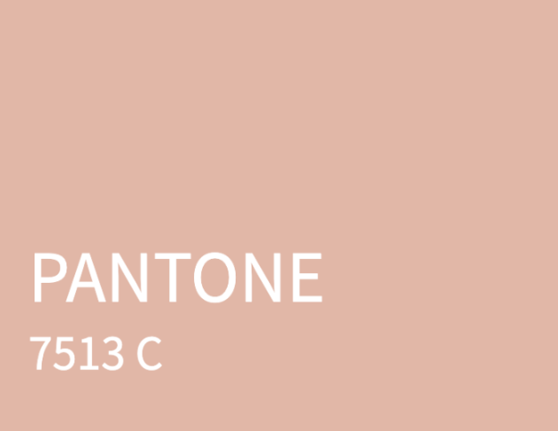 粉色段面長袖上衣