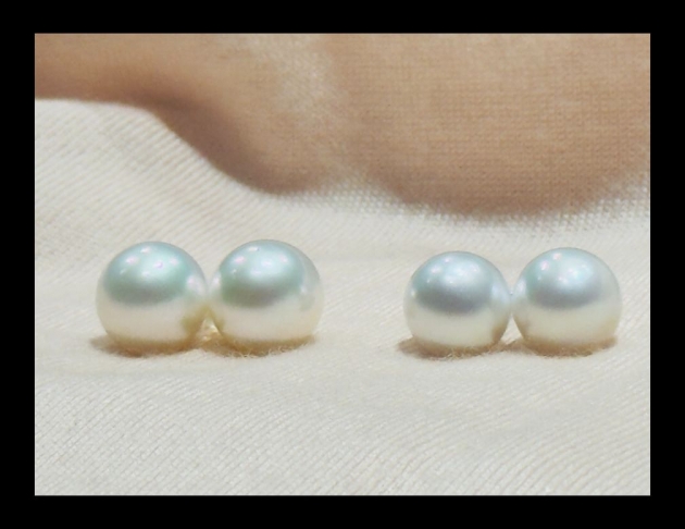 13.5-14mm 南洋白色珍珠耳環  